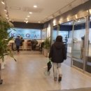 키즈쿠아 이미지