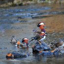 청도천2 이미지