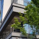 게스트 145 이미지