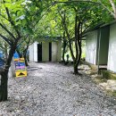 담양 물놀이 추천 아이랑 함께 즐기는 “일번지물놀이터” 에어바운스, 평상대여, 주차장이용