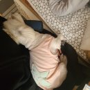 매트릭스헬스클럽 이미지