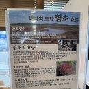 알로하스테이 | [대부도] 함초당&amp;알로하피크닉 방문후기