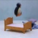 [수원/호매실] 사또통족발 불족반반 후기