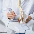 화정본정형외과의원 이미지