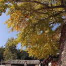 영랑생가 이미지