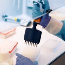 이원다이애그노믹스(주) (EDGC) | “10억 분의 1을 잡아낸다… 매출 113% 폭발한 진짜 이유-이름부터 다르다… BillionToOne 관련주!!