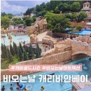즐거움이오는곳이래 | 비오는날 캐리비안베이 후기 메가스톰 어트랙션 놀이기구 파도풀