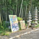 죽림원 이미지