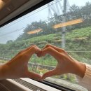 쭈니와비니 이미지