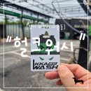 헐크워시파주점