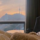 남서울펫호텔 이미지