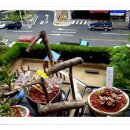 미니하우스 이미지