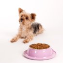 장유동물병원 이미지