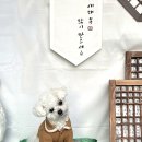 아이러브퍼피 | 광교 애견카페｜ 깔끔하고 야외 잔디가 있는 ‘아이러브퍼피’ 수원광교점