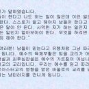 아나스타시스 네이버블로그