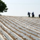 이미자농장 이미지