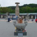 한스비건