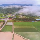 유기농마을 이미지