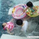 파라다이스 스파도고 이미지