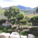 혜옥이네 이미지