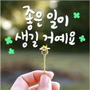 🌻🌾 9월의 첫날 당신은?🌾🌻 이미지