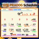 프라독 네이버블로그