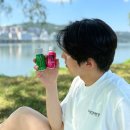 쓰리데이즈 | 단기간 3DAYS 디톡스다이어트 후기, grn 쓰리데이즈 먹기 편리해!