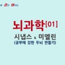 시냅스수학학원