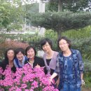 미선이네집 이미지