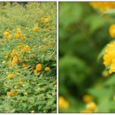 백제군사박물관 이미지