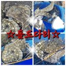 강과바다의 탑 이미지