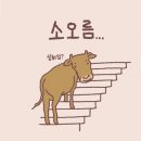 국토종주 후기 : 무엇으로 사는가