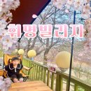 영천(대구) | 대구 근교 벚꽃 캠핑장 실시간 | 영천 휘명빌리지 명당자리 아이랑 캠핑 후기