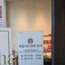 카페테라스 | 용인 고기리 스타벅스 대형 브런치 카페 야외 테라스 방문 후기