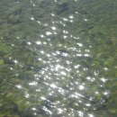 바람의정원 이미지