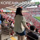 pet240어8742 | 일상 : 브라질전 다녀왔어요 (3등석 관람 후기/서울월드컵경기장 꿀팁)