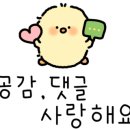 크린틴트