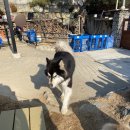 이천촌캉스 이미지