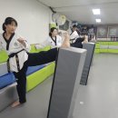 장성태권도장 이미지