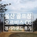 남창로 | 오르비스 CC 라운딩 후기 울산 골프장