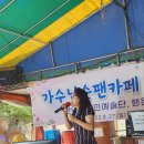 행운동-27 이미지