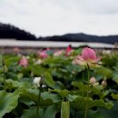 연욱농장 이미지