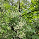 경기둘레길 양평28코스 이미지