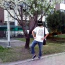 인하수선 이미지