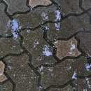 사평대로55길 139 이미지