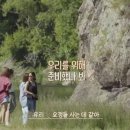섬바위오토캠핑장 이미지