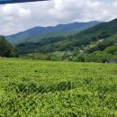 이레농장 2 이미지