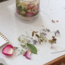 헤이즐가든