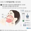 코로나19 진단 검사 방법 (부제: 전문가용 신속항원검사 vs. 자가검사키트, 방역패스 인정) 이미지