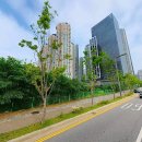 (주)화성부동산중개법인 이미지